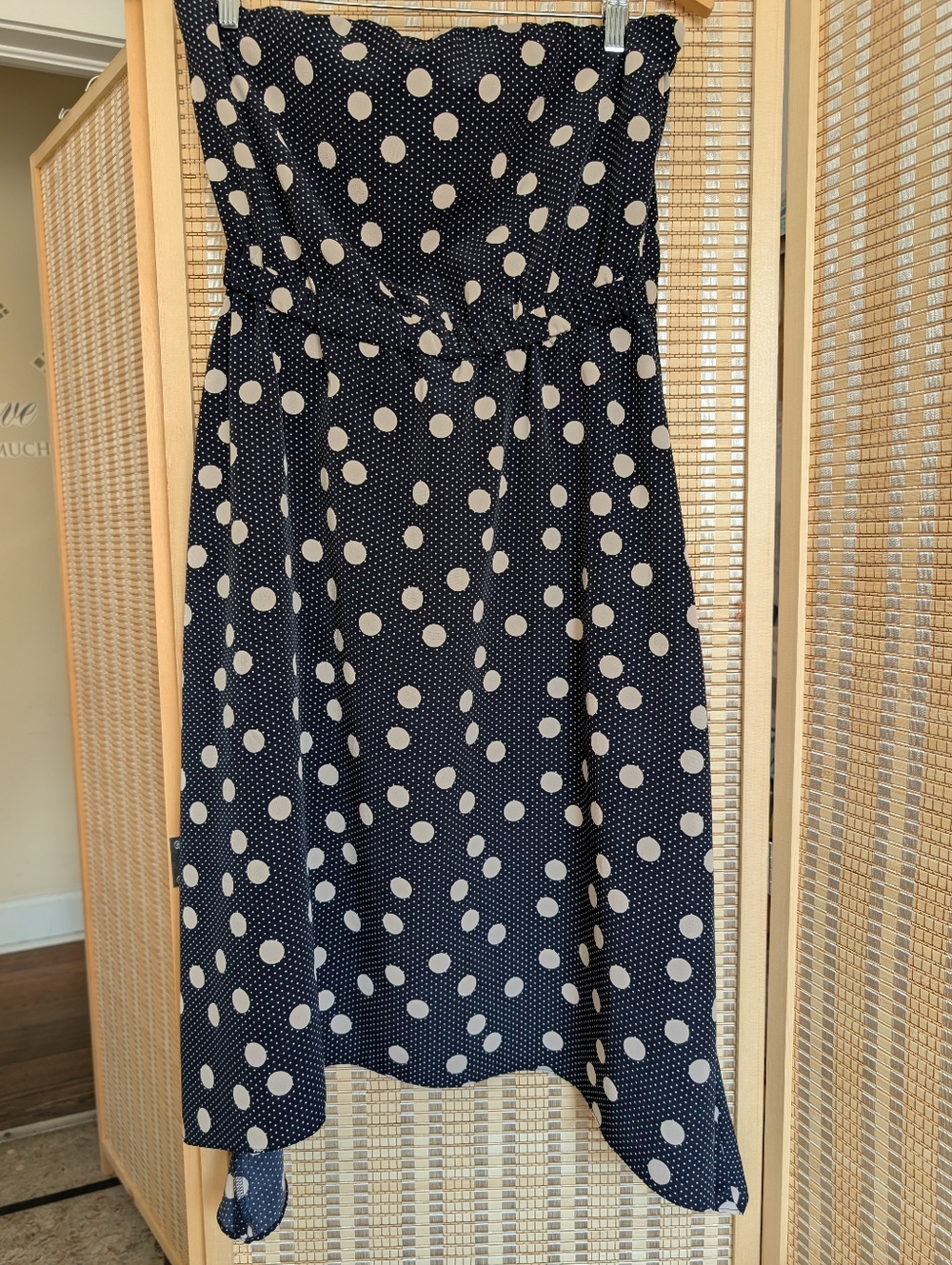 The Limited Navy and White Polka Dot Dress